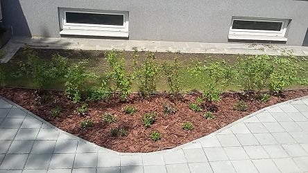Realizace zahrad Ostrava - Ostravská univerzita