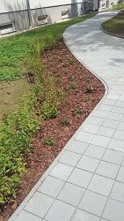 Realizace zahrad Ostrava - Ostravská univerzita