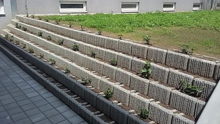 Realizace zahrad Ostrava - Ostravská univerzita