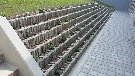 Realizace zahrad Ostrava - Ostravská univerzita