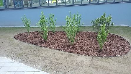Realizace zahrad Ostrava - Ostravská univerzita
