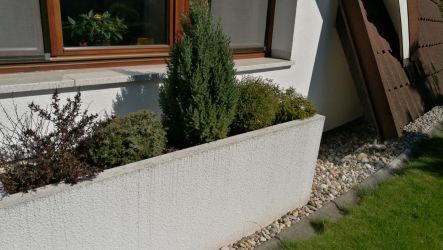 Výsadba truhlíků s okrasnými dřevinami