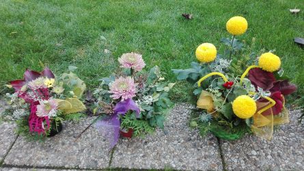 IMG_20171026_155058