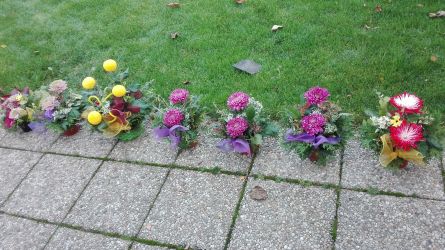 IMG_20171026_155125