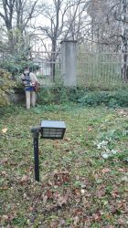 IMG_20171109_082004