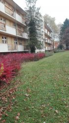 IMG_20171109_085043