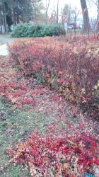 IMG_20171109_095115