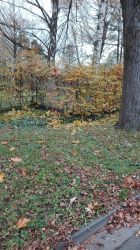 IMG_20171110_081801