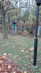 IMG_20171110_081806