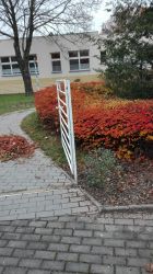 IMG_20171110_100921