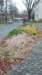 IMG_20171110_100946