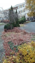 IMG_20171110_100957