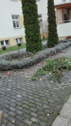 IMG_20171110_101134